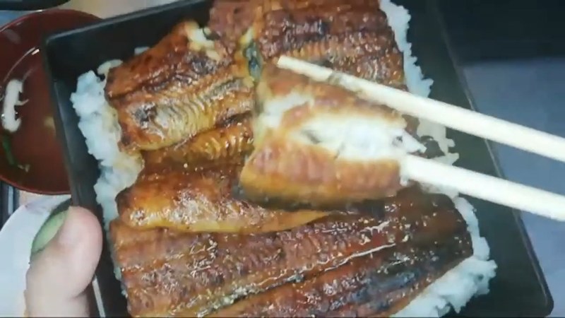 箸でうなぎを持ち上げる布団ちゃん