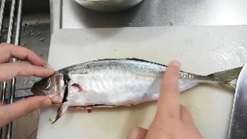鯵のぜいごを取り、頭と内臓を落とす の画面