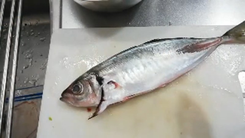 鯵のぜいごを取り、頭と内臓を落とす の画面